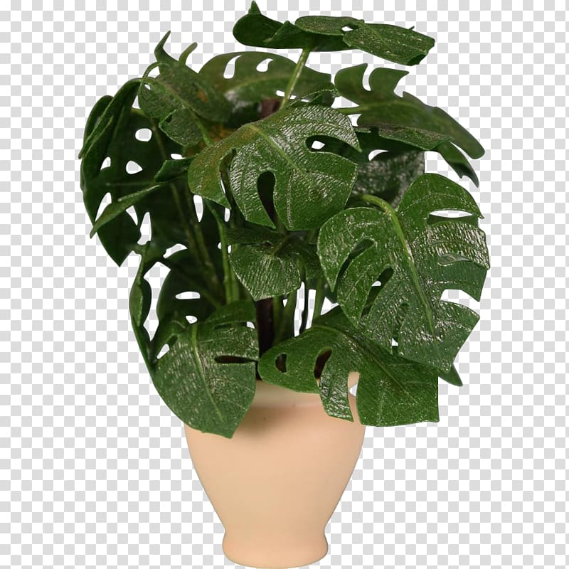 Swiss cheese plant Dollhouse Houseplant Flowerpot 1:12 scale, split leaf philodendron transparent background PNG clipart