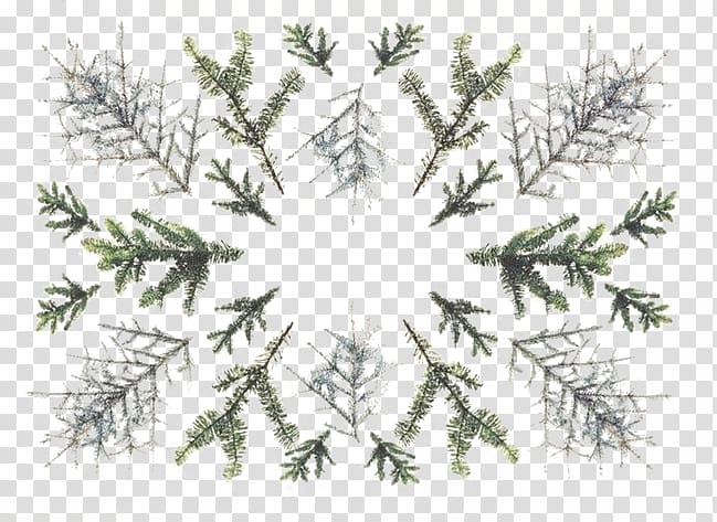Christmas card Greeting card Graphic design, Shading plant transparent background PNG clipart