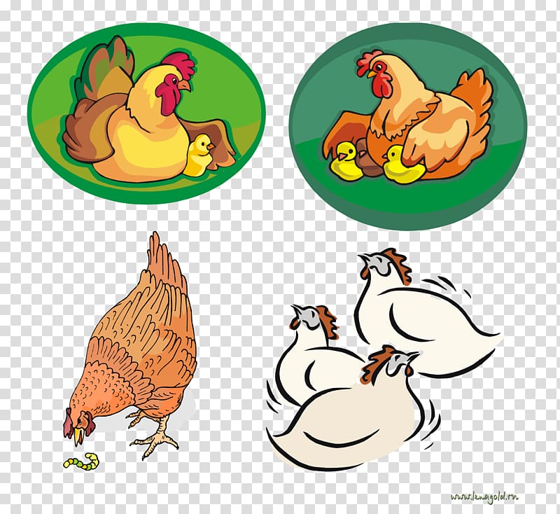 Rooster Chicken Illustration Drawing, chicken transparent background PNG clipart