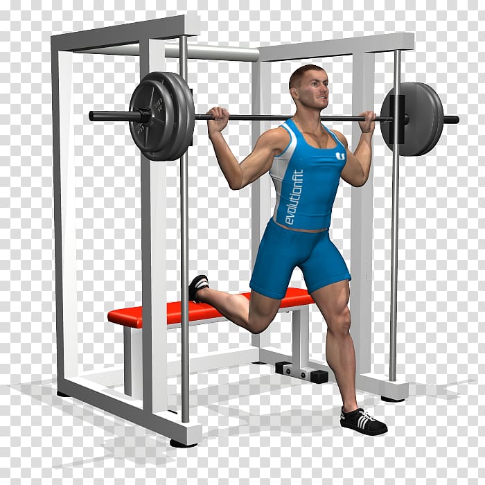 Squat Lunge Exercise machine Quadriceps femoris muscle, Barbell Squat transparent background PNG clipart