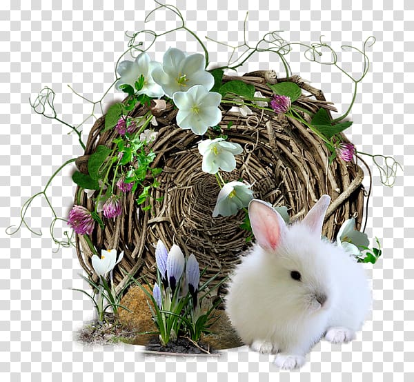 Easter Bunny Domestic rabbit, Cute rabbit transparent background PNG clipart