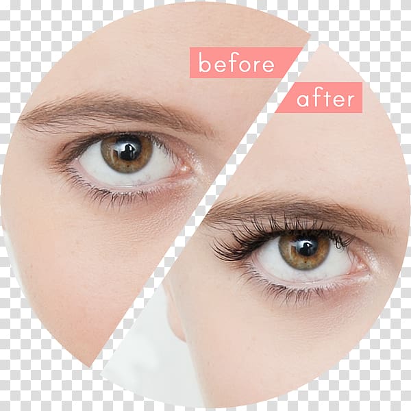 Eyelash extensions Eye Shadow Eye liner, eyelash extensions transparent background PNG clipart