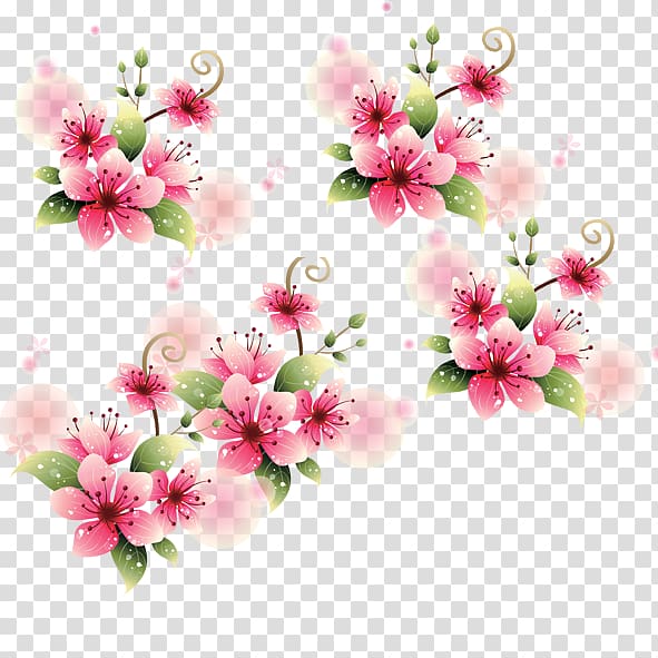 , Peach blossom transparent background PNG clipart