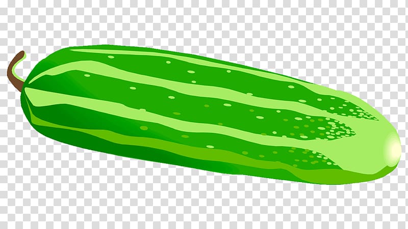 Pickled cucumber Vegetable , cucumber transparent background PNG clipart