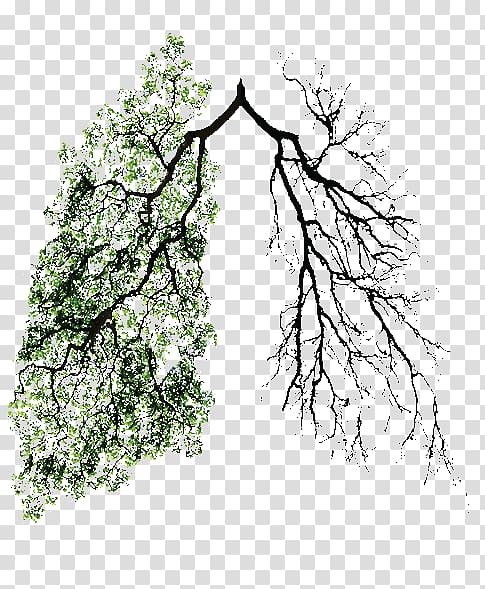 Lung cancer Earth Green, side bar transparent background PNG clipart
