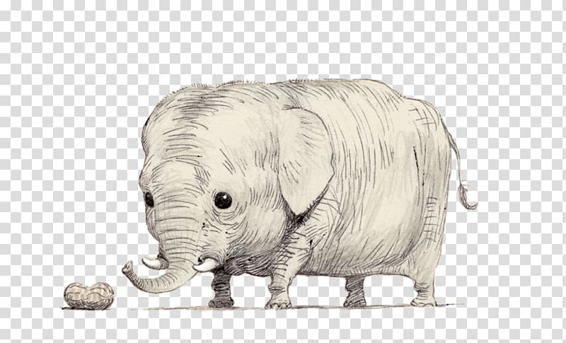 Rhinoceros Riding an Elephant Shooting an Elephant Illustration, Cute elephant with big eyes and short limbs, nose transparent background PNG clipart