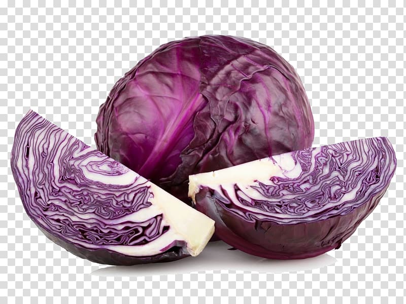 Red cabbage Wine Organic food Vegetable, cabbage transparent background PNG clipart