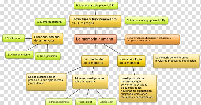 Short-term memory Psychology Learning Mind, sabr transparent background PNG clipart
