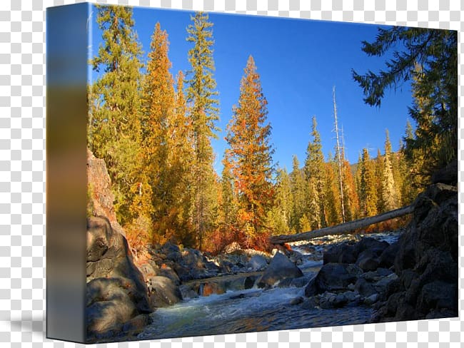 Cle Elum River Autumn In The Mountains Alpine Lakes Wilderness Cle Elum Lake, fall mountains transparent background PNG clipart