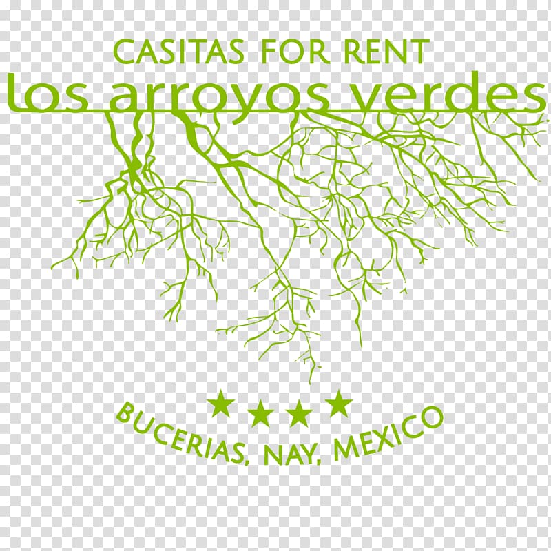 Los Arroyos Verdes Bucerías, Nayarit Meter Botany Plant stem, preferential activities transparent background PNG clipart