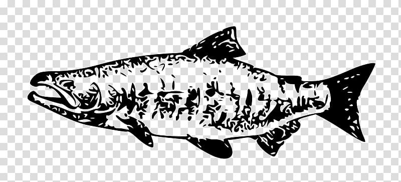 Chum salmon Chinook salmon Sockeye salmon , FISH transparent background PNG clipart