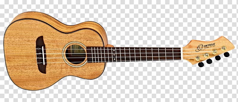 Twelve-string guitar Classical guitar Steel-string acoustic guitar Electric guitar, amancio ortega transparent background PNG clipart