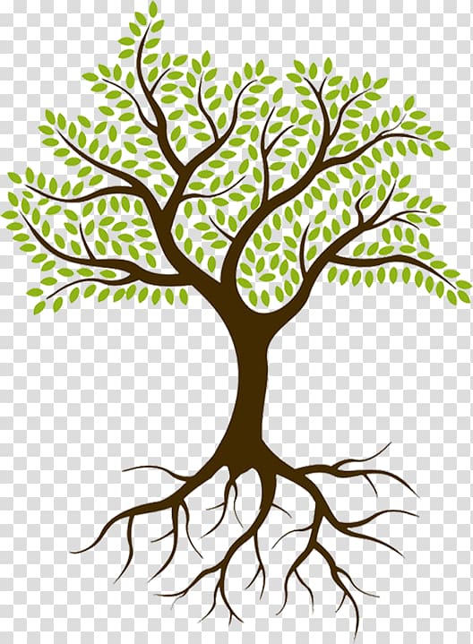 brown and green leafed tree illustration, Theoretical Perspectives on Family Businesses Management Organization, the roots transparent background PNG clipart