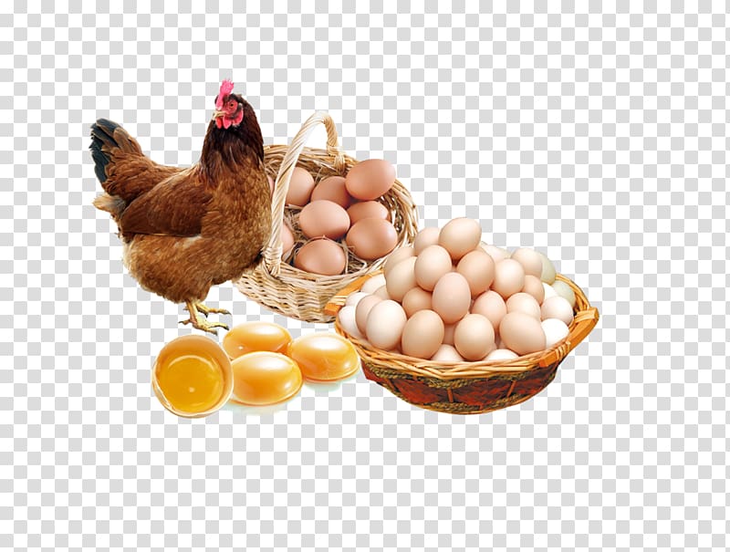 Chicken egg Poster Advertising, egg transparent background PNG clipart