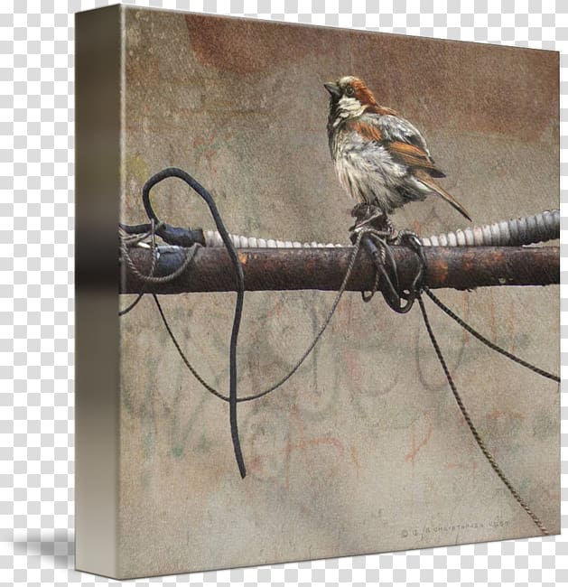 House Sparrow Bird Wire Art, House Sparrow transparent background PNG clipart