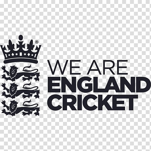 England cricket team Australia national cricket team 2019 Cricket World Cup England Lions, England transparent background PNG clipart