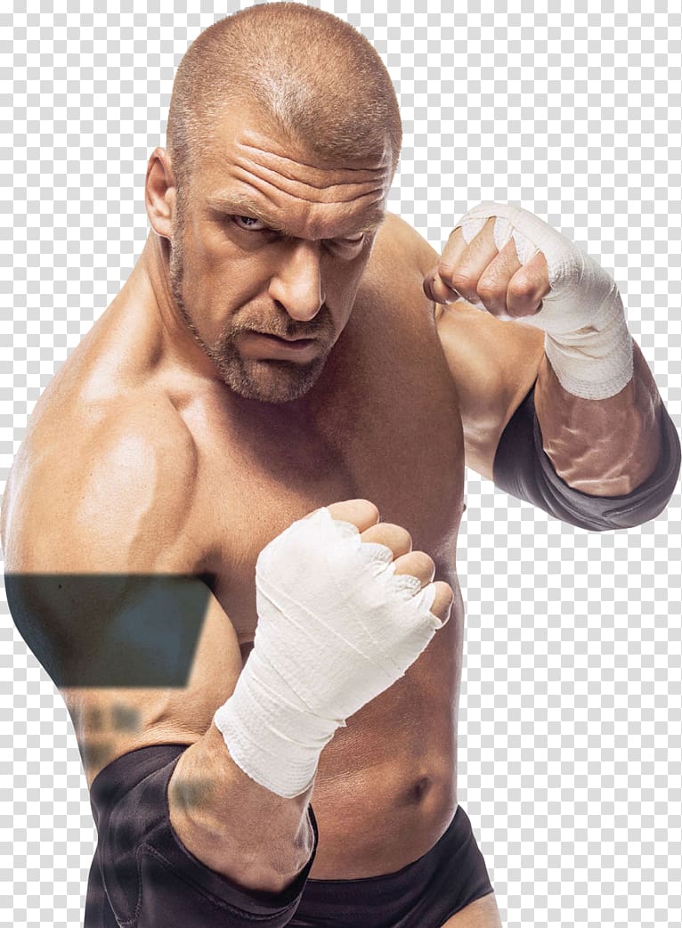 Hunter Hearst Helmsly WWE 2K14 WrestleMania WWE Raw World Heavyweight Championship, dwayne johnson transparent background PNG clipart