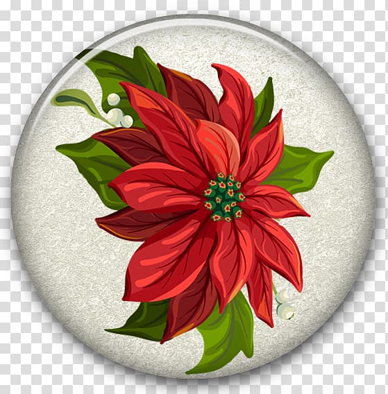 Poinsettia Christmas Wreath , Water droplets fall on flowers transparent background PNG clipart