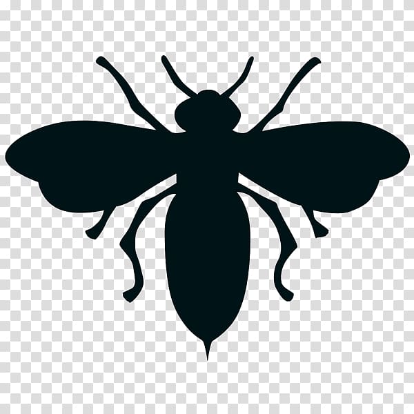 Insect European dark bee Black and white Drawing, harry potter transparent background PNG clipart