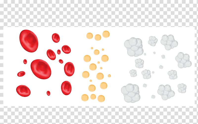 White blood cell Platelet, blood cells transparent background PNG clipart