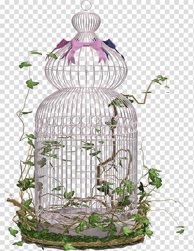 Birdcage , birdcage transparent background PNG clipart