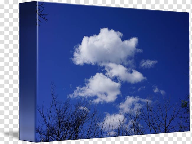 Desktop Energy Computer Tree , blue sky and white clouds transparent background PNG clipart