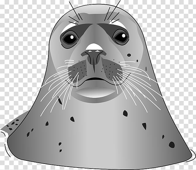 Earless seal Free , Harbor seal transparent background PNG clipart