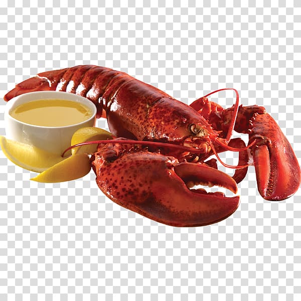 Lobster transparent background PNG clipart