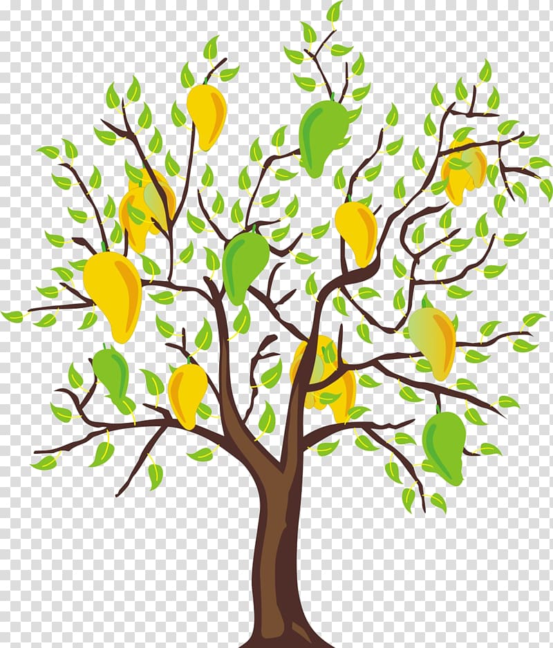 mango tree clip art black and white