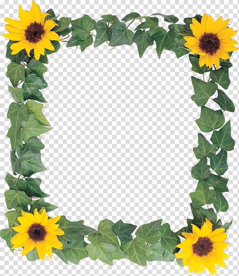 Common sunflower Frames, sunflower leaf transparent background PNG clipart