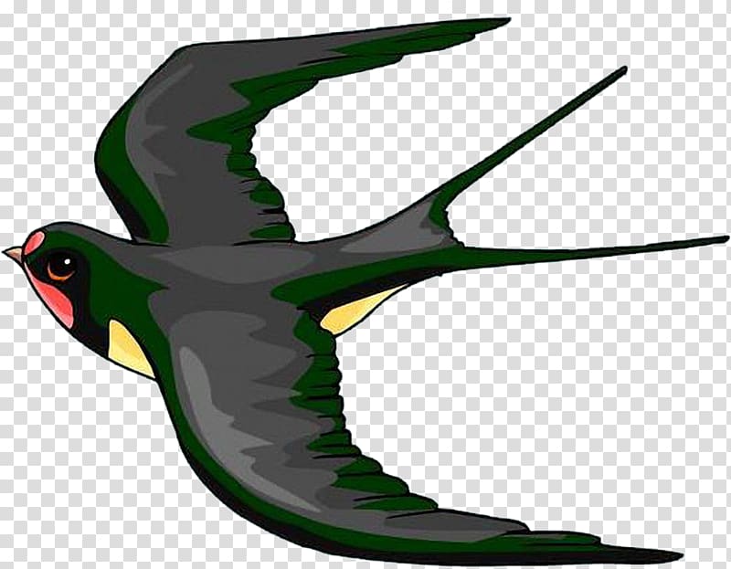 Barn swallow Drawing , others transparent background PNG clipart