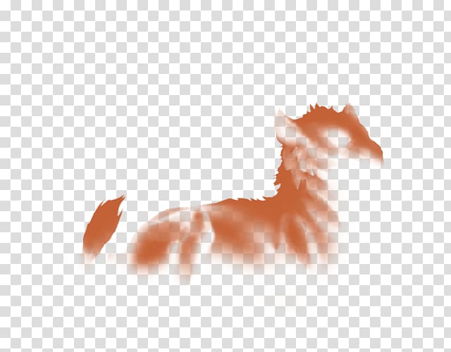 Lion Whiskers Mane Agility Endurance, lion transparent background PNG clipart