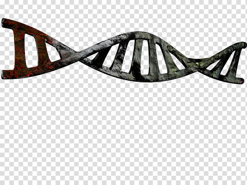 The Double Helix: A Personal Account of the Discovery of the Structure of DNA Nucleic acid double helix , Dna Helix transparent background PNG clipart