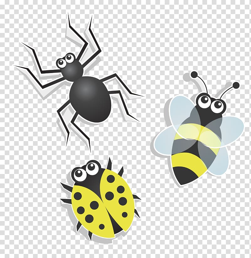 Insect Euclidean Icon, Cartoon Insects transparent background PNG clipart