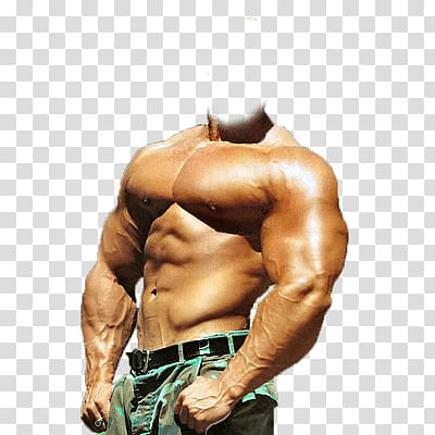 Mr. Olympia Bodybuilding Arnold Sports Festival Exercise Physical fitness, bodybuilding transparent background PNG clipart