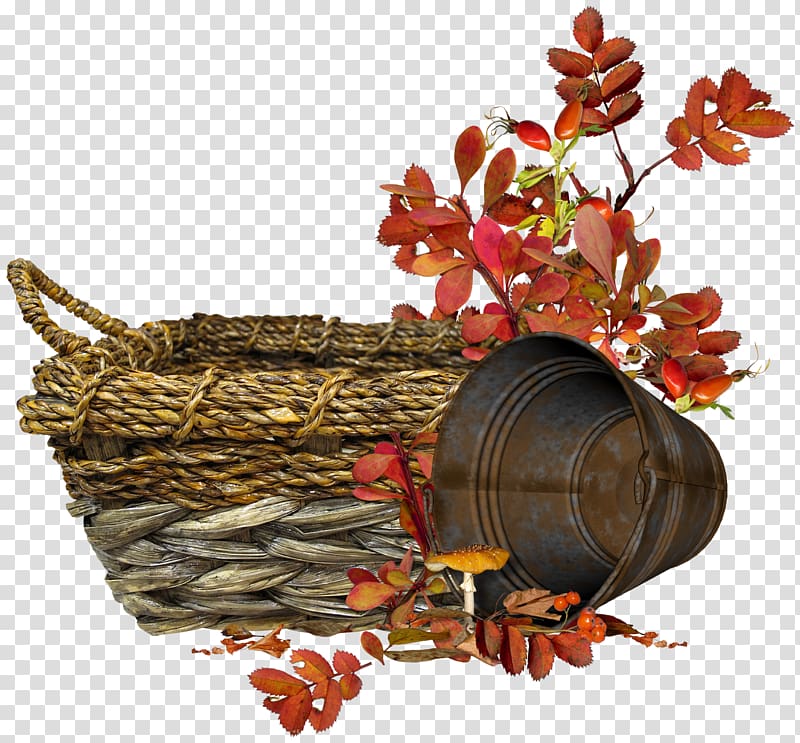 Animation Blog , Foliage iron basket transparent background PNG clipart