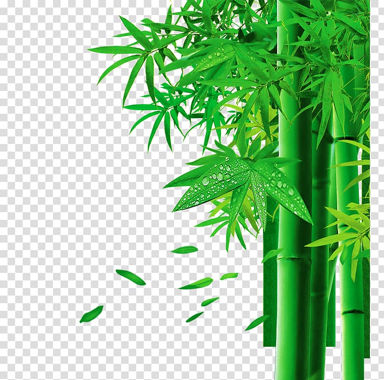 green leaves, Zongzi Bamboo 3D computer graphics, Effect element,bamboo,Green Bamboo transparent background PNG clipart