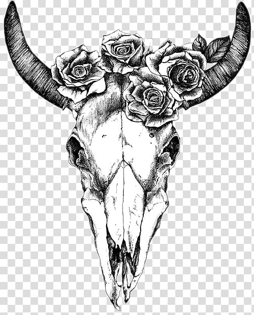 Texas Longhorn Drawing Human skull symbolism Bull, skull transparent background PNG clipart