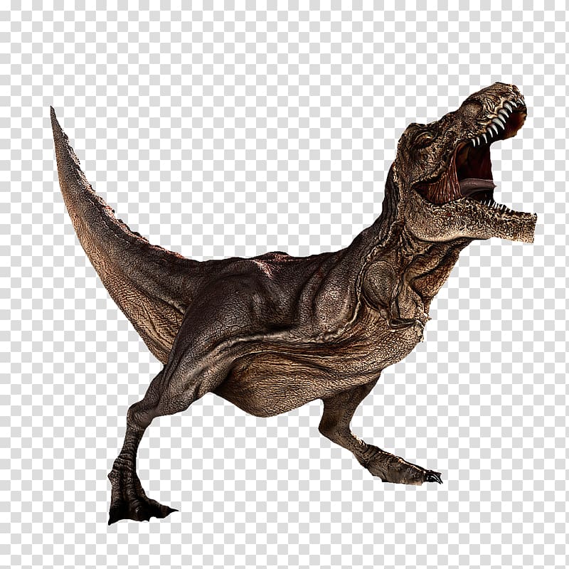 T-Rex illustration, Dinosaur Tyrannosaurus rex Carnotaurus, Realistic roar Dinosaurs transparent background PNG clipart