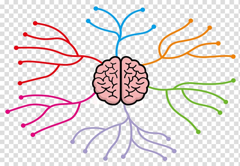 brain with neurons , Mind map , Cartoon brain thinking divergent color tree transparent background PNG clipart