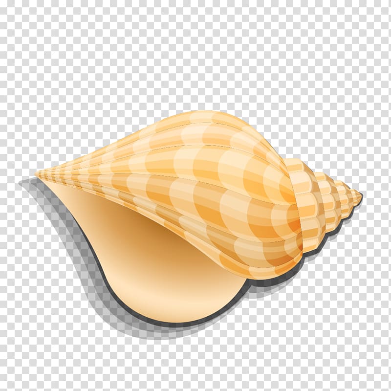 Seashell Conch Sea snail Shellfish, Hand-painted large conch transparent background PNG clipart