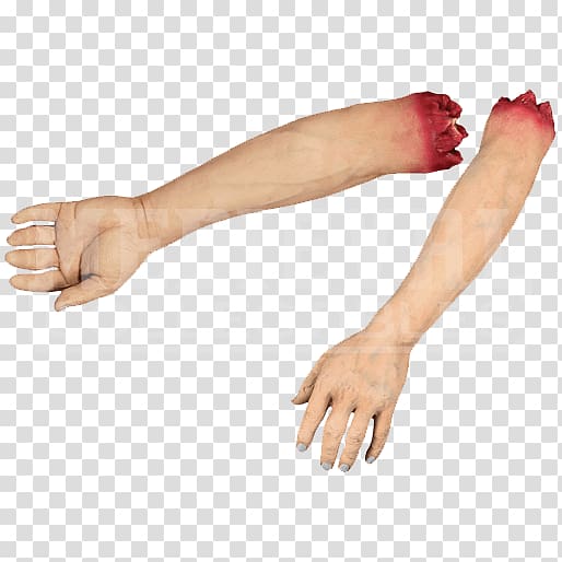 Arm Human body Limb, arm transparent background PNG clipart