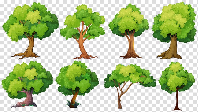 green leafed trees illustrations, Tree planting Illustration, tree transparent background PNG clipart