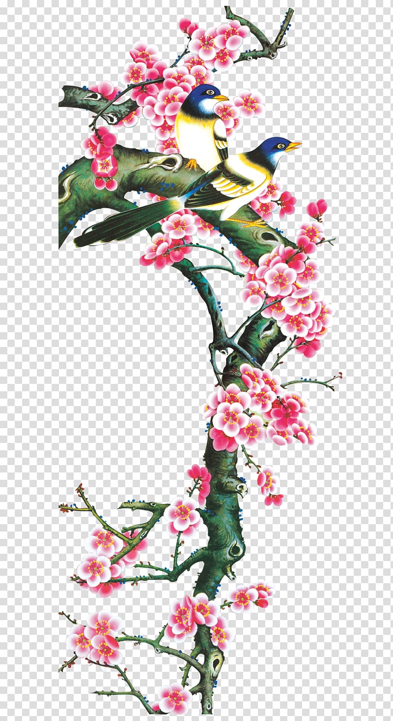 Paintings plum magpies transparent background PNG clipart