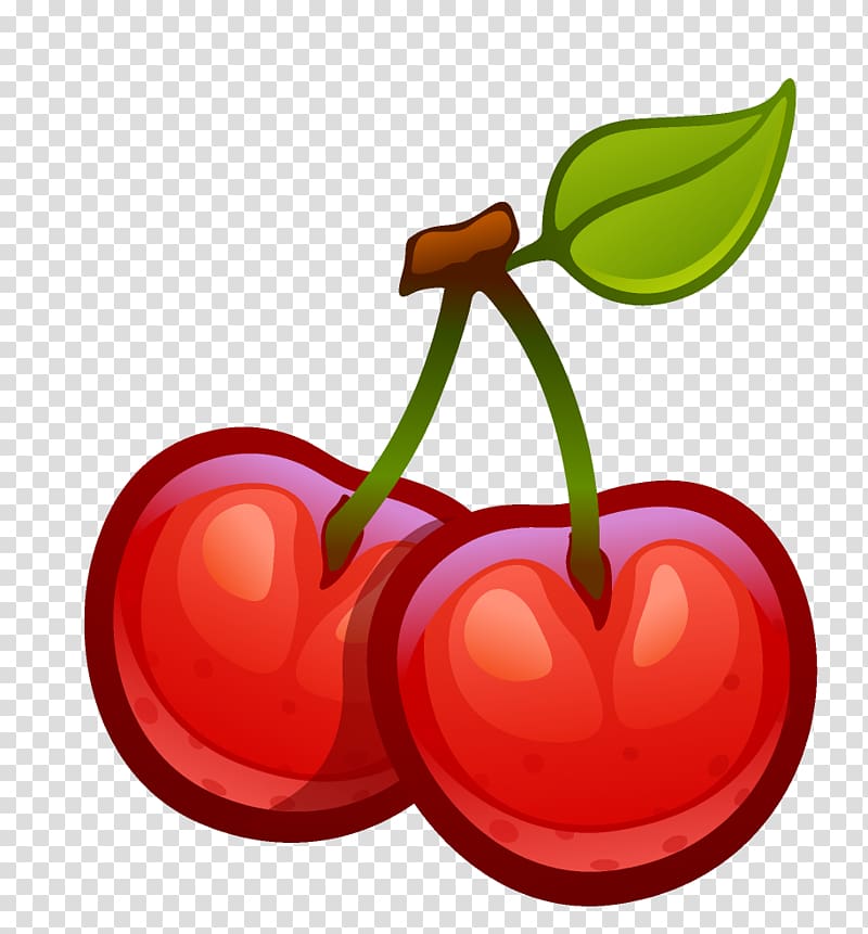 Cerasus Cherry Drawing , cherry transparent background PNG clipart