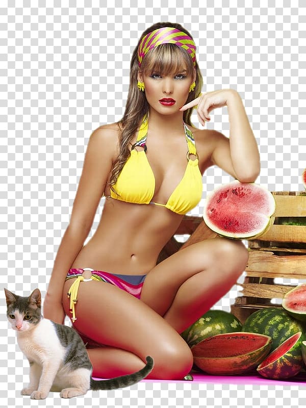 Woman Bikini Lingerie Swimsuit Animal, woman transparent background PNG clipart