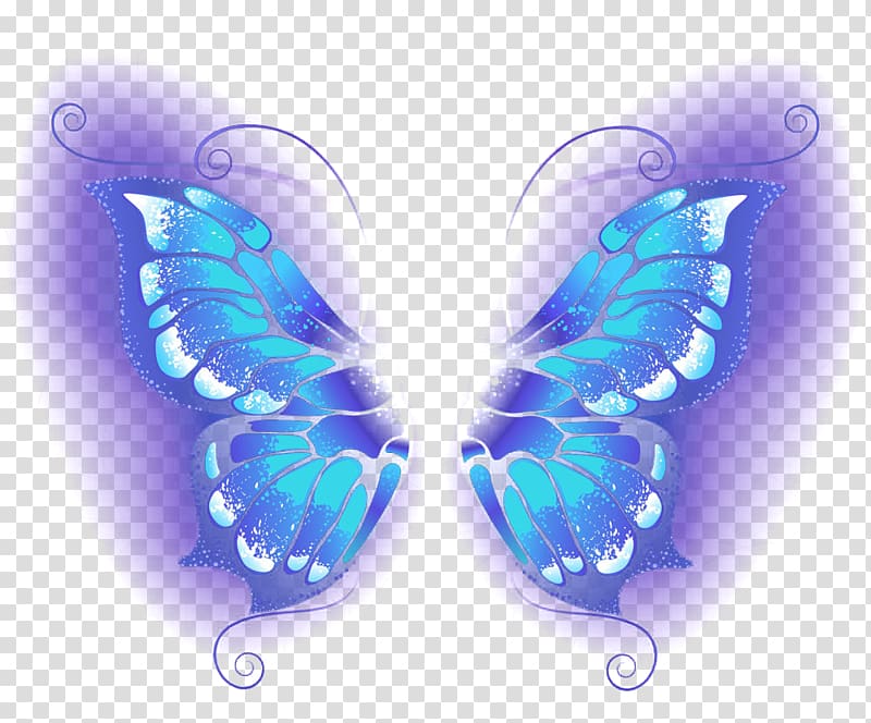 Butterfly Blue , Beautiful blue butterfly transparent background PNG clipart