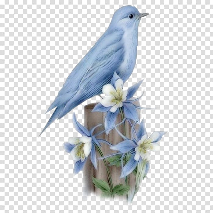 Hummingbird Bluebird of happiness Flying and gliding animals, bird transparent background PNG clipart