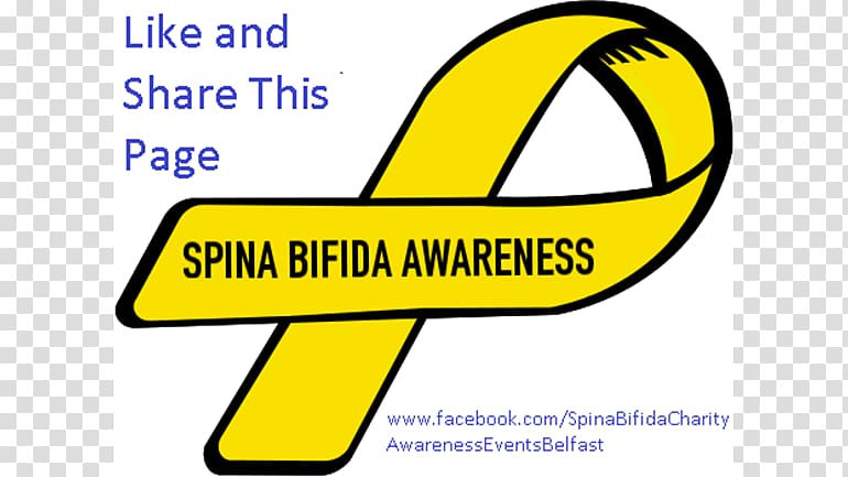 Awareness ribbon Turner syndrome, Spina Bifida transparent background PNG clipart