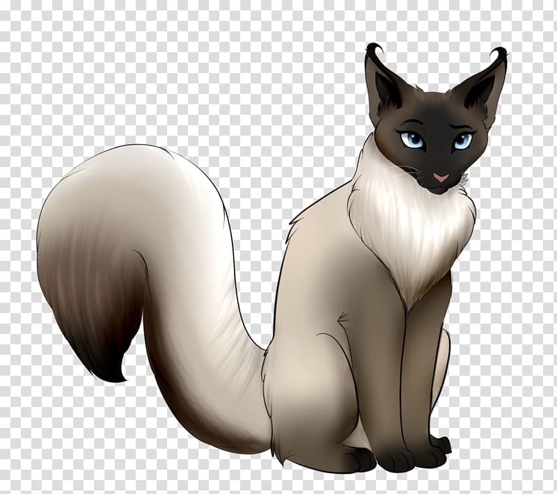 Balinese cat Whiskers Kitten Domestic short-haired cat Siamese cat, siamese cat transparent background PNG clipart